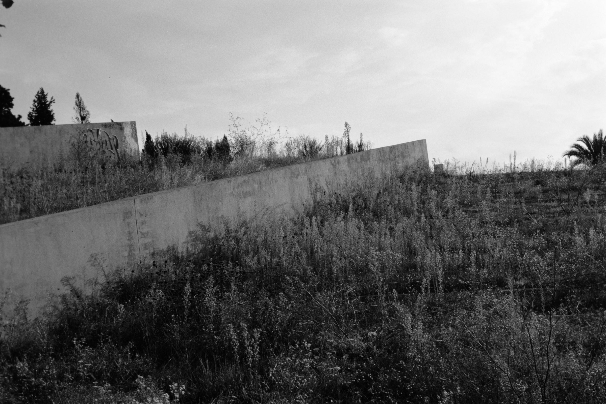 AHP F1995 10 001 sc240815 img27 NLP